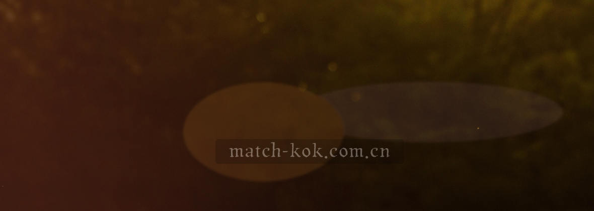 KOK中欧体育官网 直达核心 服务由心